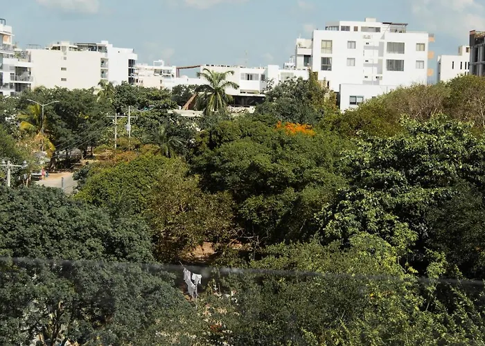 Nuevo-amplio En Magnifica Zona De Playa By Yeah Apartment Playa del Carmen